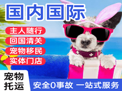 新郑机场邮寄国际宠物托运 【国